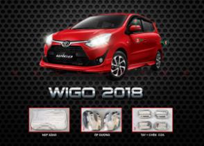 WIGO 2018