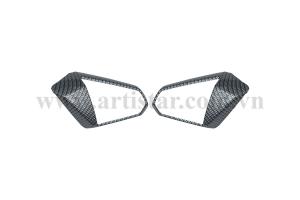 XI NHAN SAU JANUS 2016 - 2022 CARBON